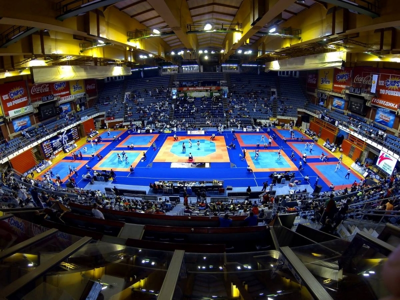 На завершившихся в Сербии международных соревнованиях по таэквондо Serbia Open-2014 белорусские юниоры завоевали две бронзовые медали