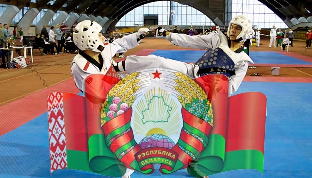 Результаты чемпионата РБ