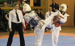 Белорусская федерация таэквондо подвела итоги открытого Чемпионата Республики
