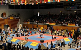 German Open 2013