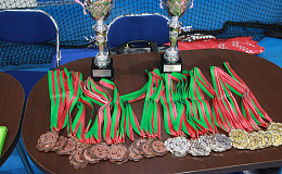 РЕЗУЛЬТАТЫ ЧЕМПИОНАТА БЕЛАРУСИ ПО ТАЭКВОНДО 2018