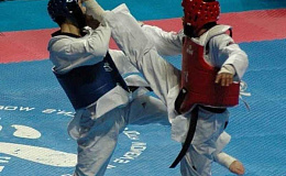 Барановичские школьники выступили на Чемпионате Европы по таэквондо