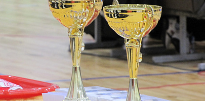 2-й международный турнир по таэквондо среди мужчин и женщин «Belarusopen