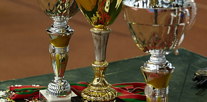 Открытый Кубок Республики Беларусь 2013