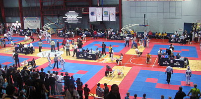 Международный турнир в г.Загреб (Хорватия)